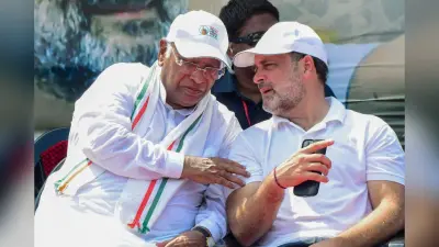 Vice Presidential Election: चुनाव से एक दिन पहले विपक्षी सांसद करेंगे मॉक मतदान, खरगे देंगे डिनर पार्टी