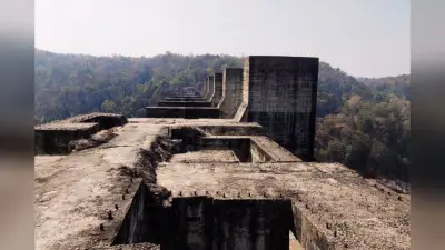 पलामू टाइगर रिजर्व के 780 परिवारों के पुनर्वास को कैबिनेट की मंजूरी