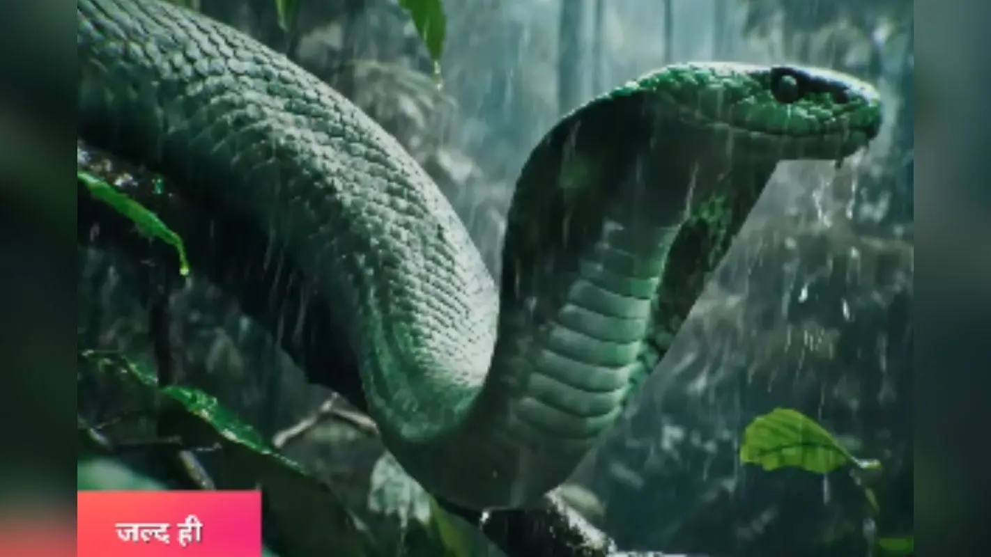 Naagin 7 Teaser: नागिन 7 का नया टीजर जारी, बदले और रहस्य से भरपूर होगा नया सीजन