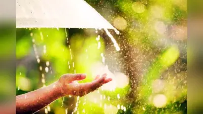 रांची समेत 9 जिलों में अगले 3 घंटे में होगी गरज के साथ बारिश, वज्रपात की भी आशंका, येलो अलर्ट जारी
