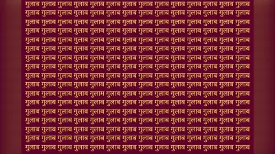 Optical Illusion: गुलाब की भीड़ में छिपा है गुलाम, सिर्फ बाज नजर वाले ही 10 सेकंड में ढूंढ पाएंगे
