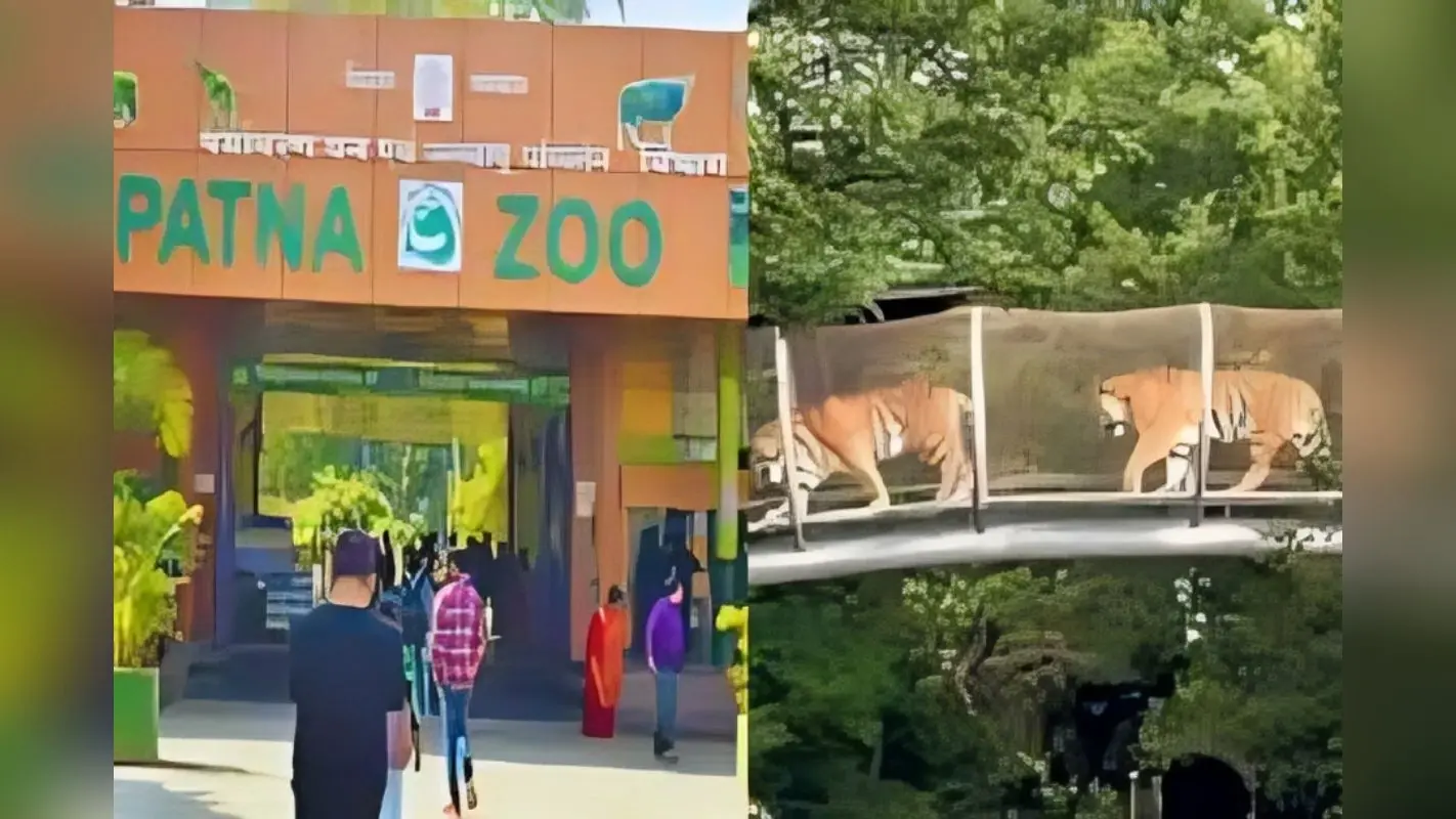 Patna Zoo: पटना ज़ू वर्ल्ड क्लास बनने की राह पर, बिहार सरकार ने शुरू की नई पहल