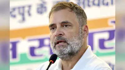 Bihar SIR: हार का ठीकरा चुनाव आयोग पर फोड़ना चाहते राहुल? कॉन्फ्रेंस पर भड़के शाहनवाज