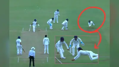 चीते की तरह कूदे रजत पाटीदार झपट्टा मारकर पकड़ा कैच, वीडियो में देखें हैरतअंगेज कारनामा