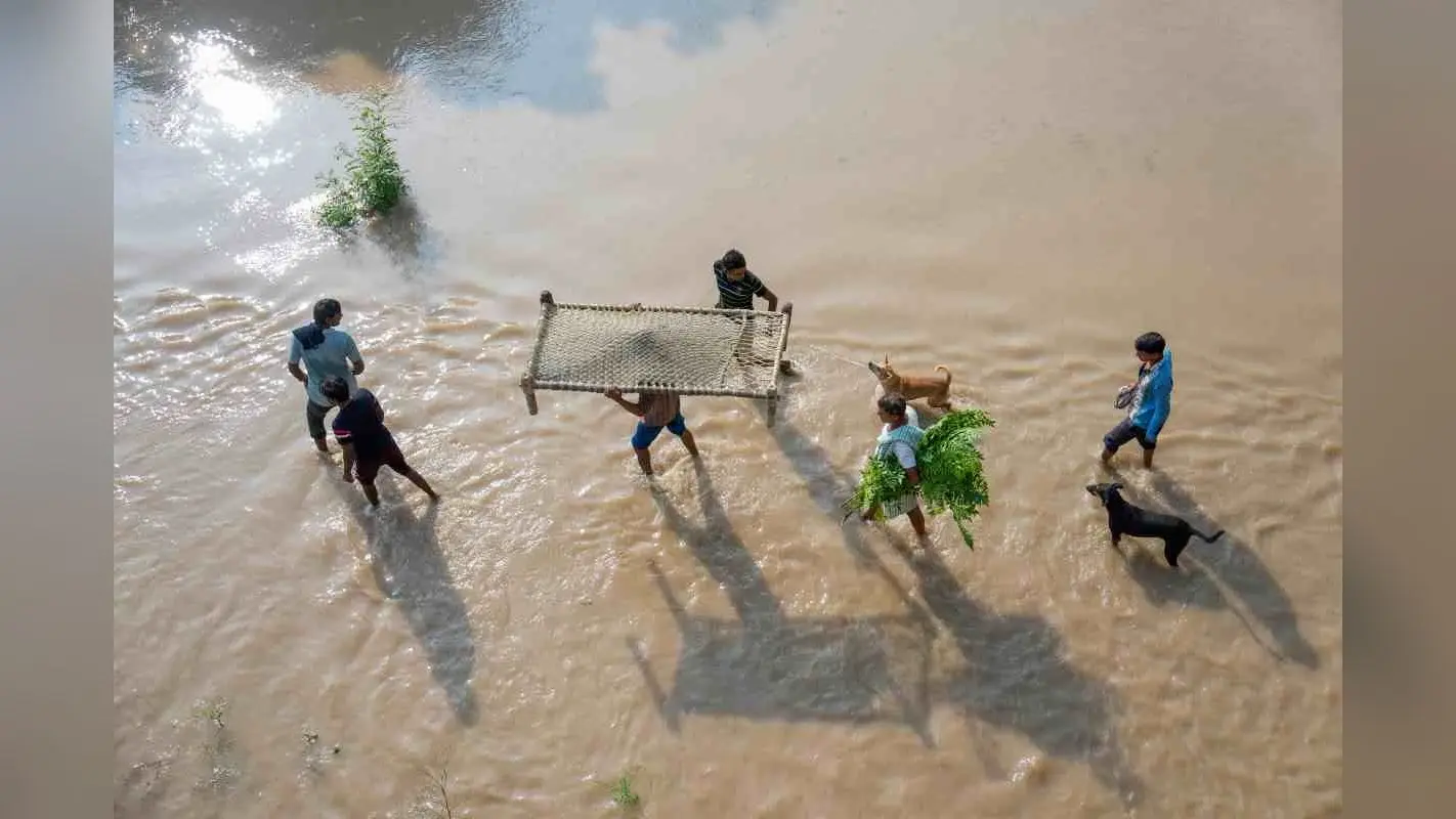 Yamuna River : दिल्ली में लाश जलाना भी मुश्किल, और डराने लगी यमुना नदी, वीडियो आया सामने