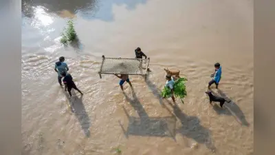 Yamuna River : दिल्ली में लाश जलाना भी मुश्किल, और डराने लगी यमुना नदी, वीडियो आया सामने