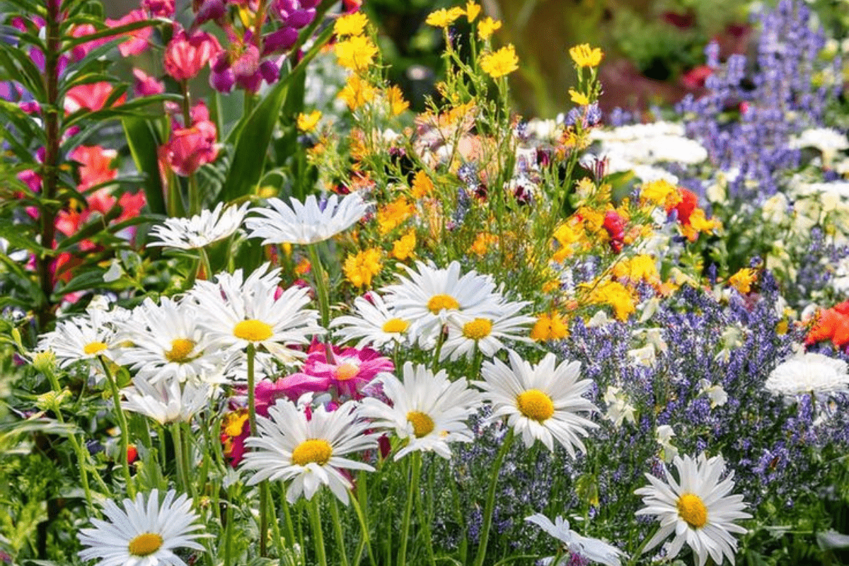 Gardening Tips