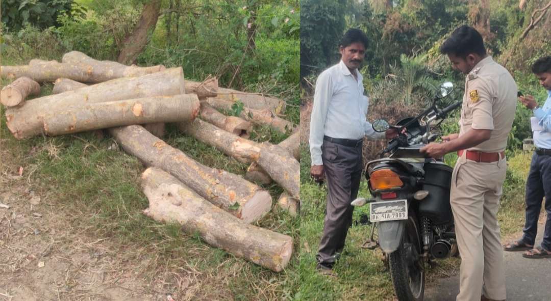 हरे-भरे पेड़ों पर लकड़ी माफियाओं की नजर, पुलिस ने जब्त की दो लाख से अधिक की लकड़ी