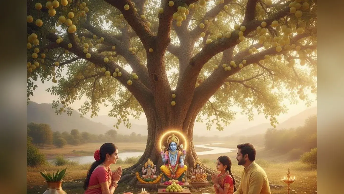Akshaya Navami 2025: अक्षय नवमी पर आंवला का इतना महत्त्व क्यों है? जानिए इसके दान से कैसे दूर होती हैं जीवन की सभी समस्याएं