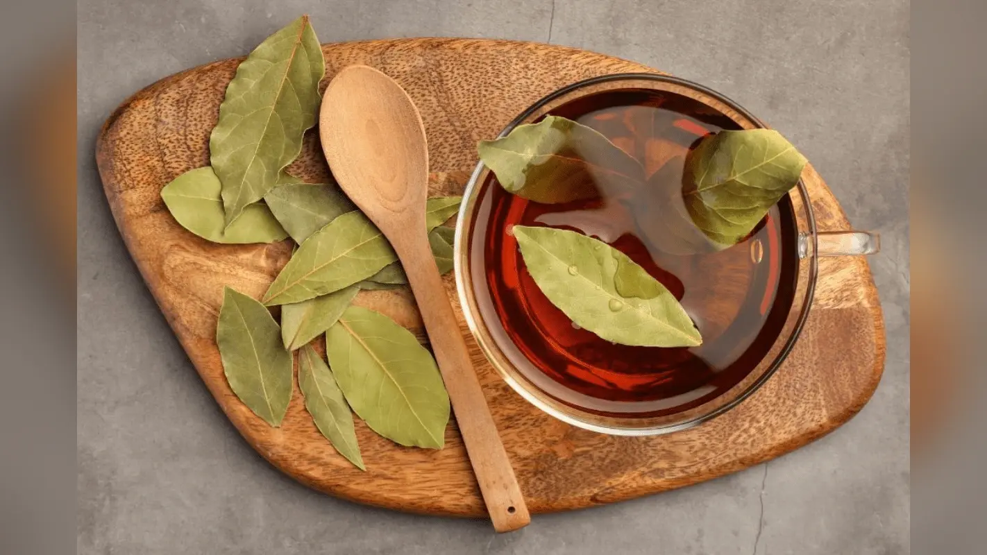 Bay Leaves: सर्दियों में पानी में तेजपत्ता उबालकर पीने से क्या होता है?