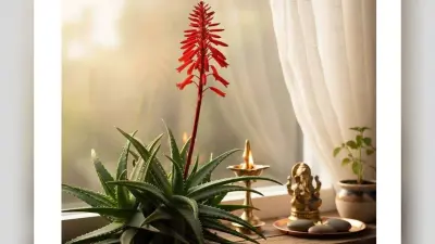 Vastu Benefits of Aloe Vera Flower: घर में एलोवेरा के फूल का खिलना देता है संपन्नता का संकेत – जानें वास्तु के अनुसार फायदे