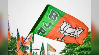 बीजेपी के इतने मौजूदा विधायकों का हो सकता है पत्ता साफ, जानें क्या होगा फैक्टर, दो दिन होगी महाबैठक