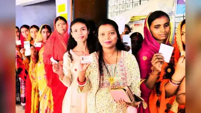 झारखंड समेत 7 राज्यों की 8 विधानसभा सीटों पर उपचुनाव क्यों? किस सीट पर कब होगी वोटिंग?