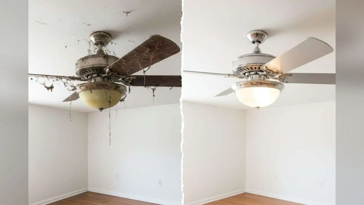 Ceiling Fan Cleaning Tips: सीढ़ी चढ़े बिना ऐसे करें सीलिंग फैन की सफाई, मिनटों में हटेगी सारी धूल