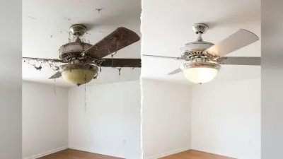 Ceiling Fan Cleaning Tips: सीढ़ी चढ़े बिना ऐसे करें सीलिंग फैन की सफाई, मिनटों में हटेगी सारी धूल