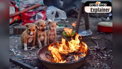 Colder Winter 2025 : क्या इस बार देश में पड़ेगी हाड़ कंपाने वाली ठंड? जानिए, ला लीना के प्रभाव से क्या होता है फायदा और नुकसान