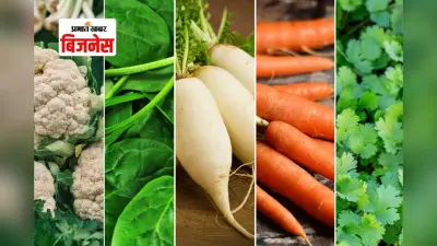 अक्टूबर में ये 5 सब्जियां बोएं और 3 महीने में कमाई की बरसात पाएं