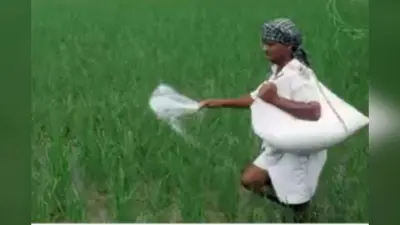 Fertilizers Subsidy: खाद पर 38 हजार करोड़ की सब्सिडी को मंजूरी, मोदी सरकार ने किसानों को दिया तोहफा