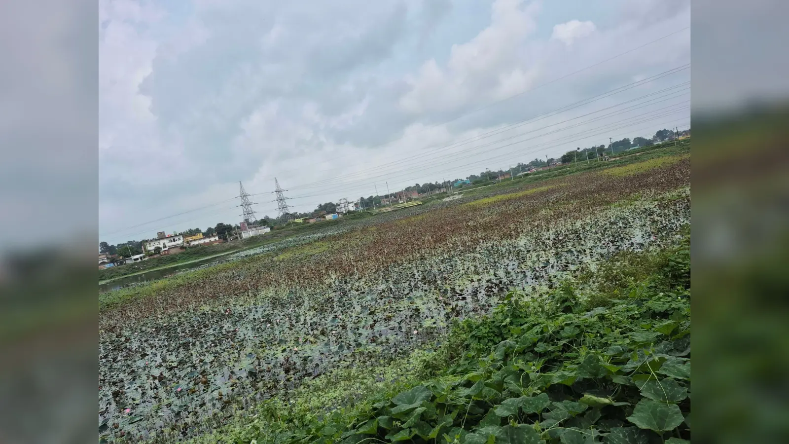 वृत्ताकार ग्लास ब्रिज मत्स्यगंधा झील को लगायेगा चार चांद