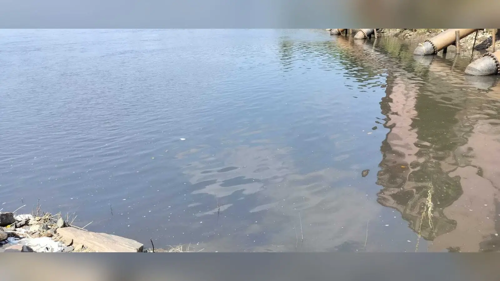 Dhanbad News : दामोदर में बह रहा वाशरी का ‘काला’ पानी