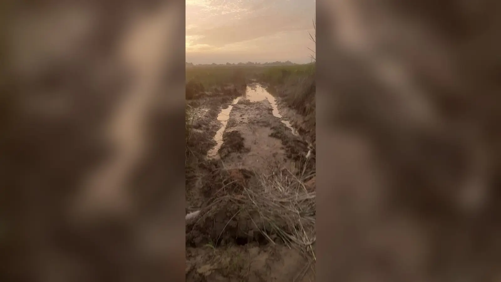 Sitamarhi : छठ घाटों की सफाई व सड़क मरम्मत में प्रशासन की रूचि नहीं, व्रती चिंतित