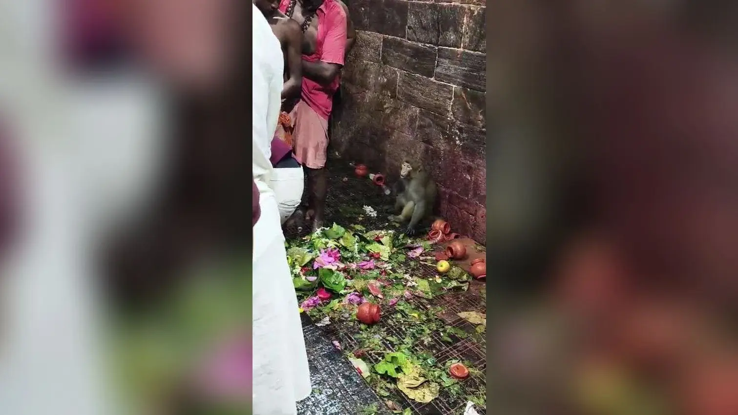Deoghar News : बाबा मंदिर के गर्भ गृह में घुसा बंदर, छह लोगों को किया घायल, मची अफरातफरी