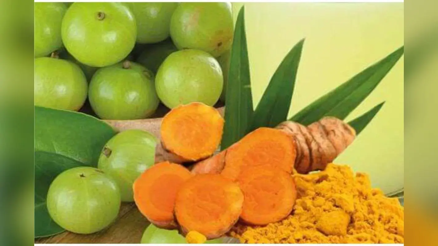Haldi Amla Water Benefits: हर सुबह हल्दी और आंवला पानी पीने से मिलेंगे 5 जबरदस्त फायदे