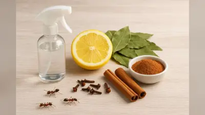 Easy Hacks: चीटियों के आतंक से छुटकारा पाना अब और भी आसान, ट्राई करें ये सस्ते और कारगर हैक्स
