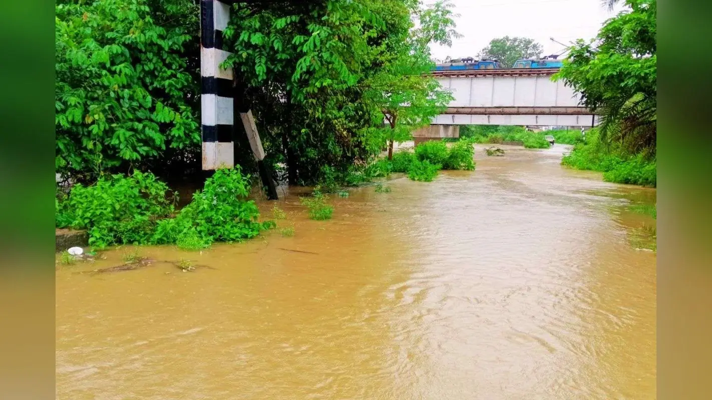 झारखंड के कई हिस्सों में भारी बारिश, दुमका जिले में उफनते नाले में बही 50 साल की महिला