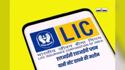 LIC SIP Plan: एलआईसी एसआईपी में हर महीने 25,000 जमा करने पर 10 साल में कितना मिलेगा पैसा, जानें पूरा कैलकुलेशन