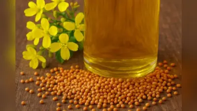 Mustard Oil : त्योहार के मौसम में सरसो तेल हुआ सस्ता, यहां जानें अन्य तेल की कीमत