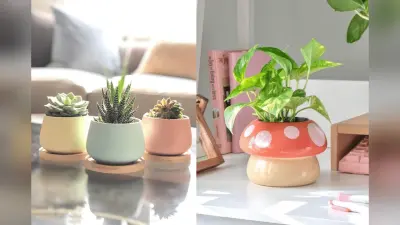 Pot Designs For Diwali: ट्रेंडी गमलों से करें घर की सजावट की शुरुआत, देखें बेस्ट डिजाइन आइडियाज