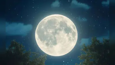 Sharad Purnima 2025 Panchang: शरद पूर्णिमा पर बन रहे हैं ये शुभ-अशुभ योग, जानें आज का पंचांग