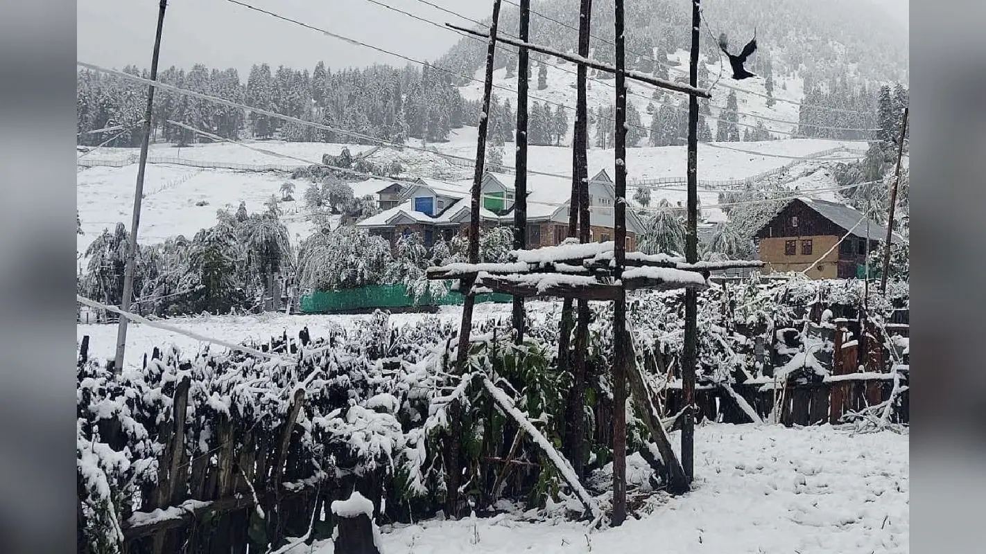 IMD Forecast : पहाड़ों पर बर्फबारी, 8 अक्टूबर से 5 डिग्री तक गिरेगा तापमान, उत्तर भारत के लोग ठंड से अब कांपेंगे