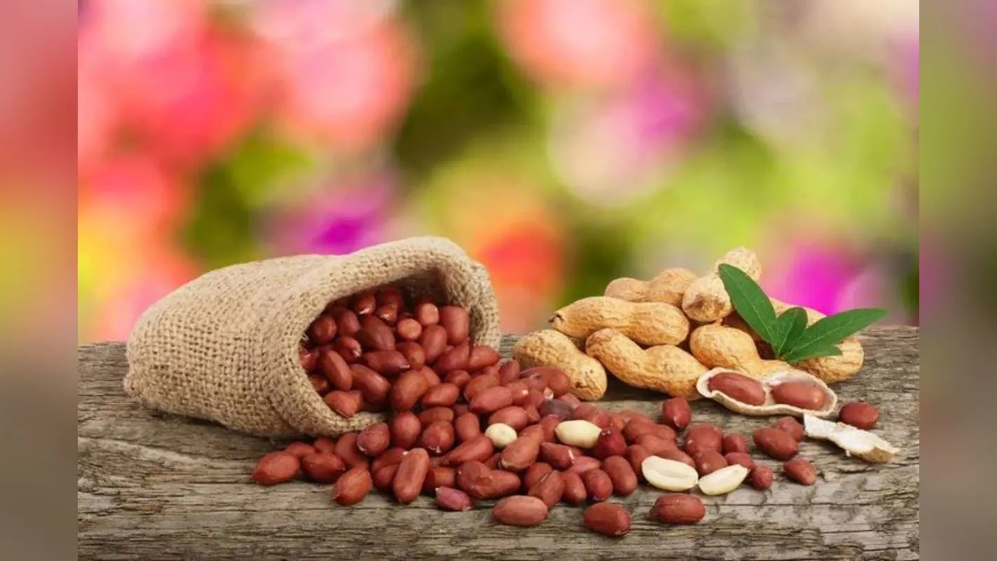 Tips to Store Peanuts at Home: इस तरह करें मूंगफली को स्टोर साल दो साल नहीं होगी खराब – जानें तरीके