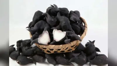 Water Chestnut Benefits: सर्दियों में जरूर खाएं सिंघाड़ा, मखाने से भी ज्यादा फायदेमंद है ये फल