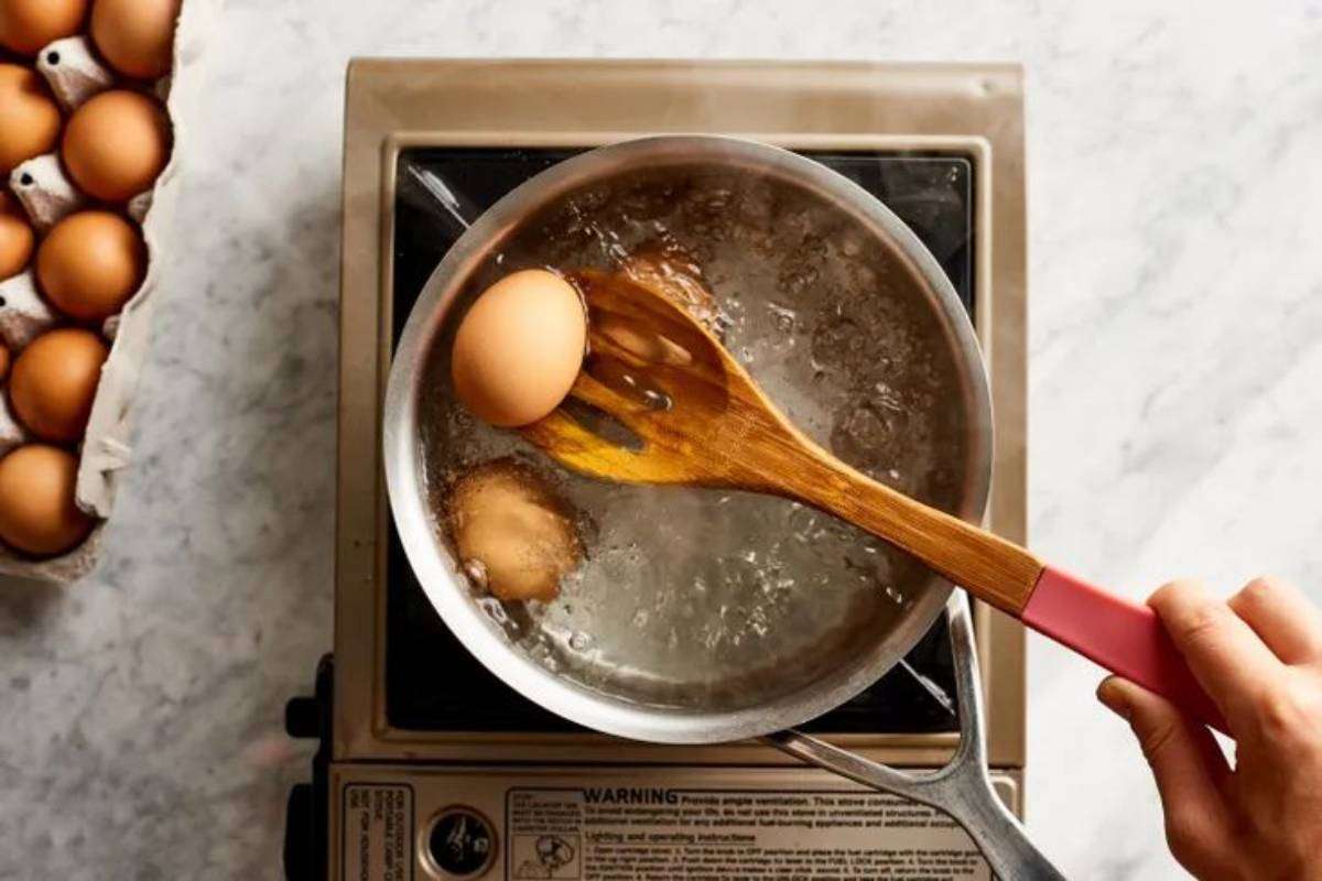 egg storage tips