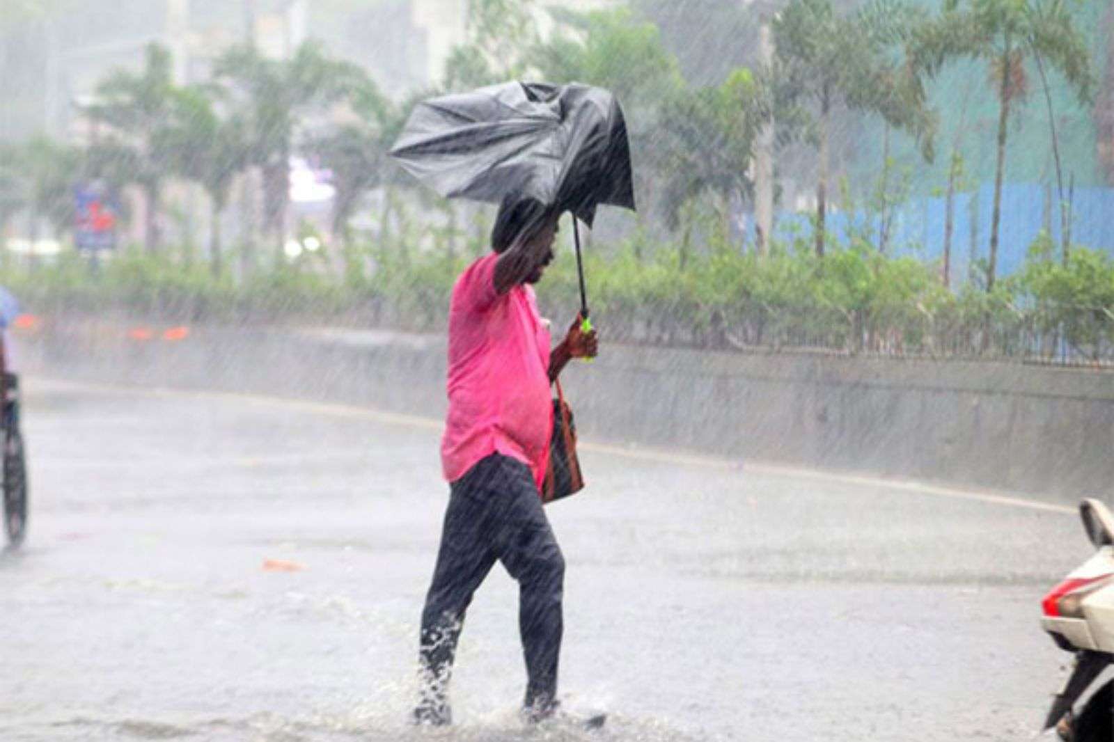 Cyclone Tracker: बंगाल की खाड़ी में बना चक्रवाती तूफान सेनयार, जल्द ही कमजोर पड़ने की संभावना