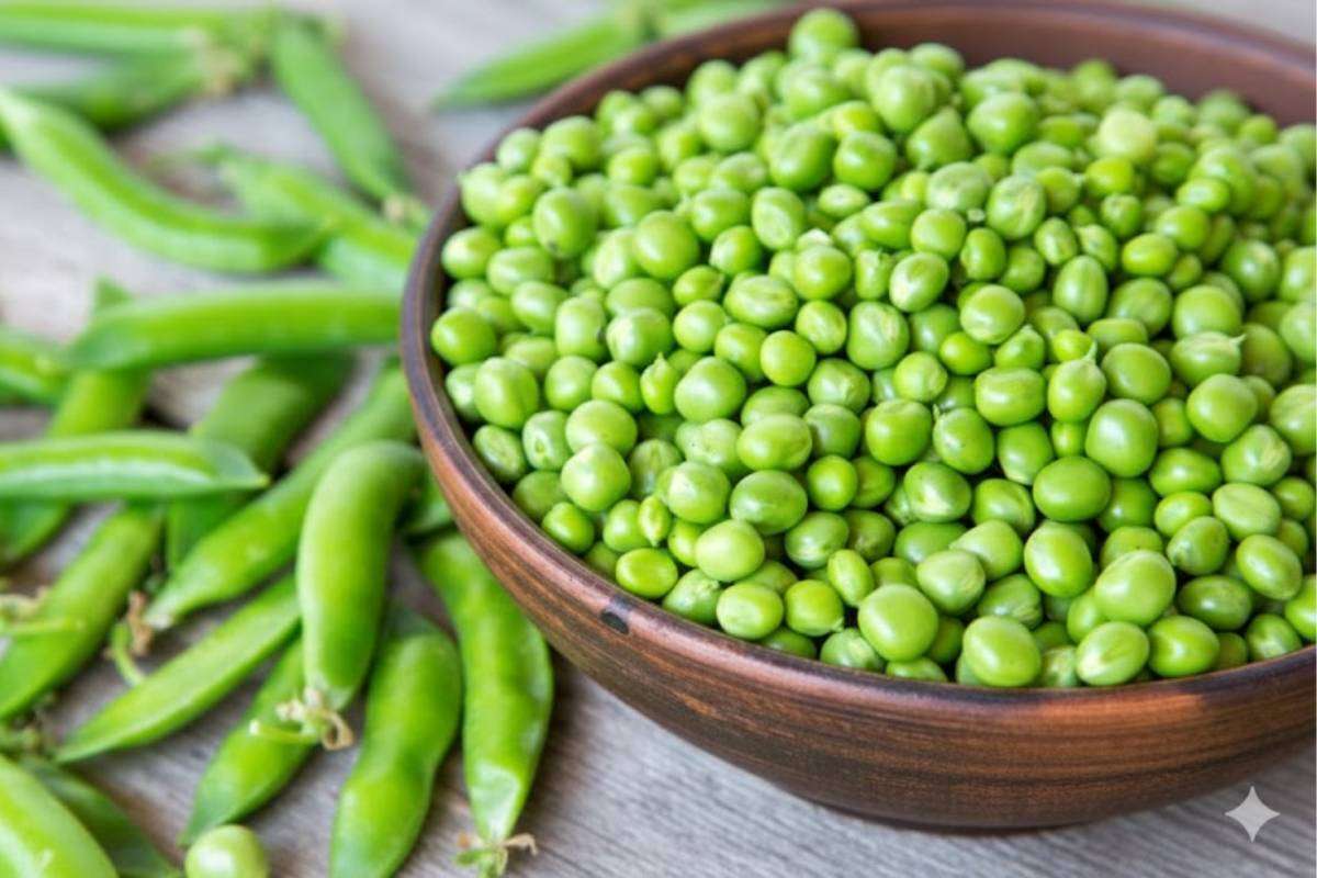 How to Store Green Peas for Long Time: सर्दियों के मटर सालभर कैसे रखें फ्रेश? जानिए आसान और असरदार तरीके