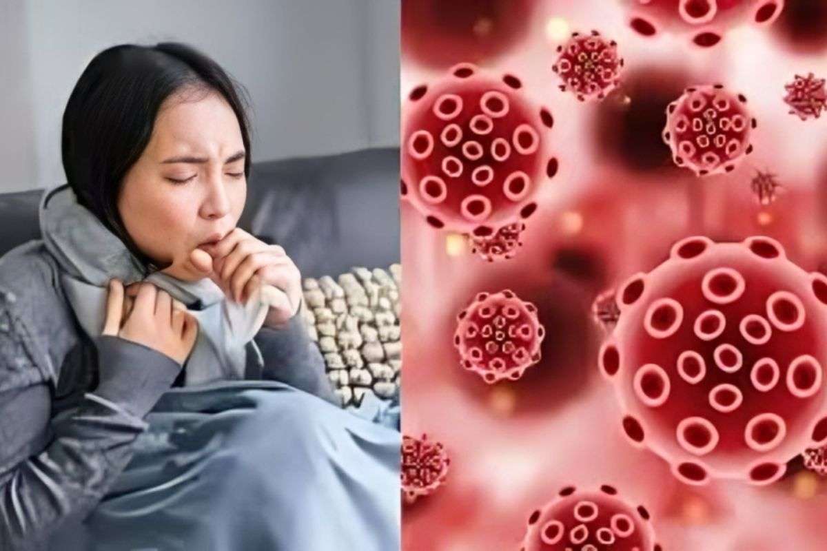 Patna News: शहर में बढ़ा वायरल संक्रमण, फ्लू जैसे लक्षणों वाले मरीज 35% तक बढ़े