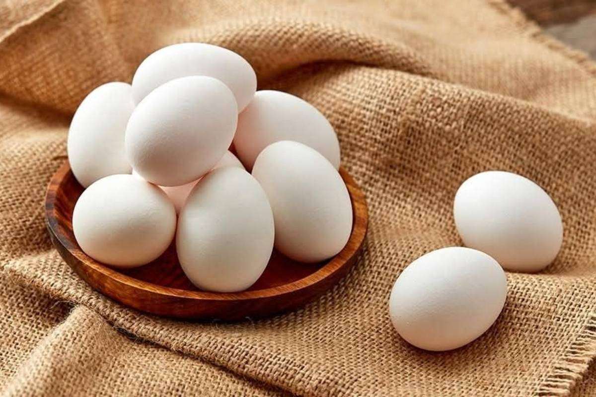 Tips to Store Eggs for Long Time: लंबे समय तक अंडे स्टोर करने का सबसे अच्छा तरीका क्या है?