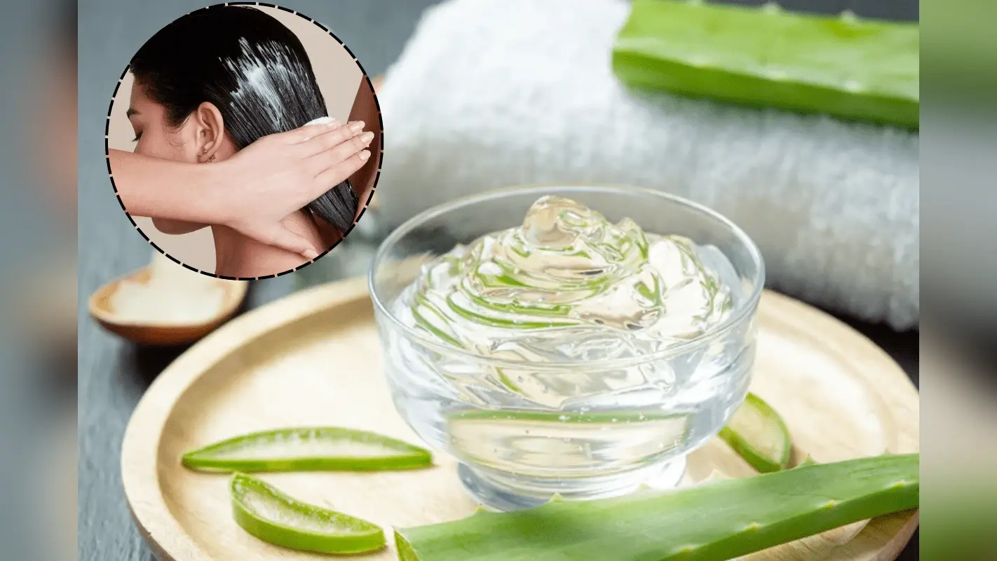 Aloe Vera and Coconut Oil Hair Mask: घर पर बनाएं एलोवेरा और नारियल तेल हेयर मास्क, पाएं रेशमी और चमकदार बाल