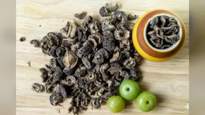 Amla Vadi – Salted Amla Candy Recipe: रोजाना खाएं आमला वड़ी और पाचन तंत्र को रखे दुरुस्त -जानें स्वादिष्ट आंवला वड़ी की रेसिपी