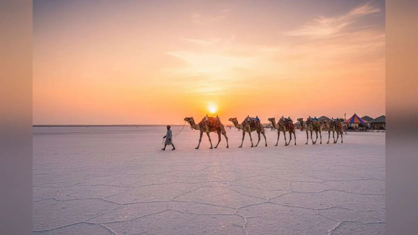 Travel Tips: घूमने के लिए खूबसूरत जगहों की कर रहें हैं तलाश, तो चले आइए गुजरात