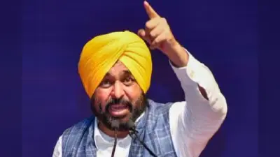 पंजाब में गन्ने की कीमत में 15 पैसे प्रति किलो बढ़ोतरी, सीएम भगवंत मान ने दिखाई दरियादिली