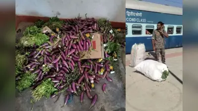 Bihar News: उत्तर प्रदेश से बिहार आ रही ट्रेन में इस तरह लाई जा रही थी अंग्रेजी शराब की बोतलें, अलर्ट मोड में पुलिस
