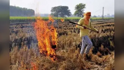 Bihar News: बिहार चुनाव में ढहा यादवों का किला, सबसे अधिक सीटें जीत लाये राजपूत