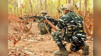 Chhattisgarh Naxal Encounter: सुकमा में सुरक्षाबलों को मिली बड़ी सफलता, मुठभेड़ में 2 महिलाओं समेत 3 नक्सली ढेर