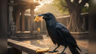 Shani Dev Remedies: शनिवार को काले कौए को ये खिलाने से खुल सकता है भाग्य का द्वार, जानिए धार्मिक मान्यता