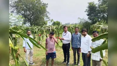 लीक से हटकर की खेती, झारखंड के किसान की चमक गयी किस्मत, कमाए 1.5 लाख रुपए, कम लागत में अच्छा मुनाफा